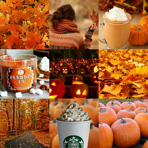theprettyandthemacabre: The Colours of Autumn  (witches brew, is a @punkplague original)