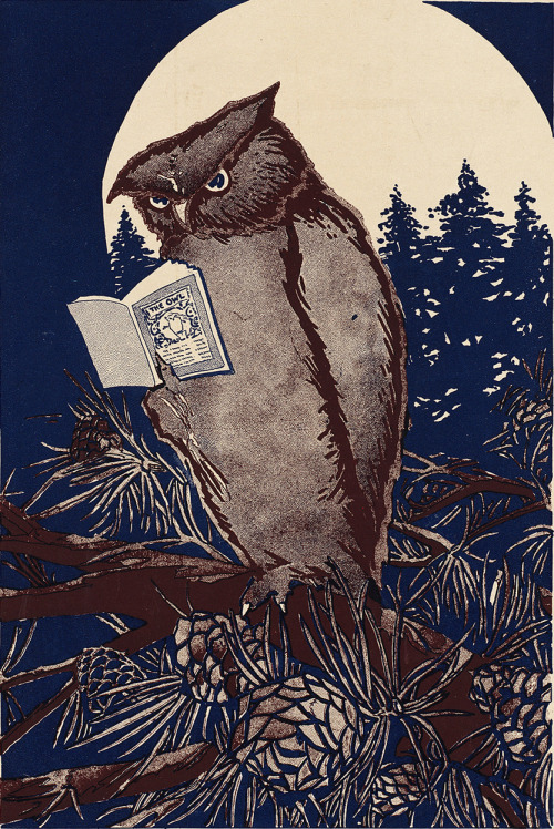 danskjavlarna:A poster for The Owl.