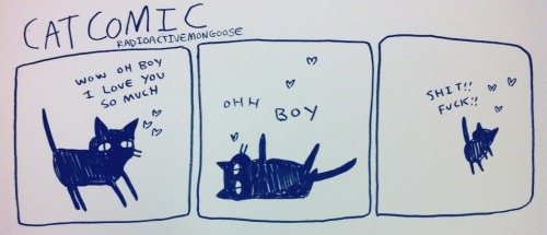 radioactivemongoose:cat comic