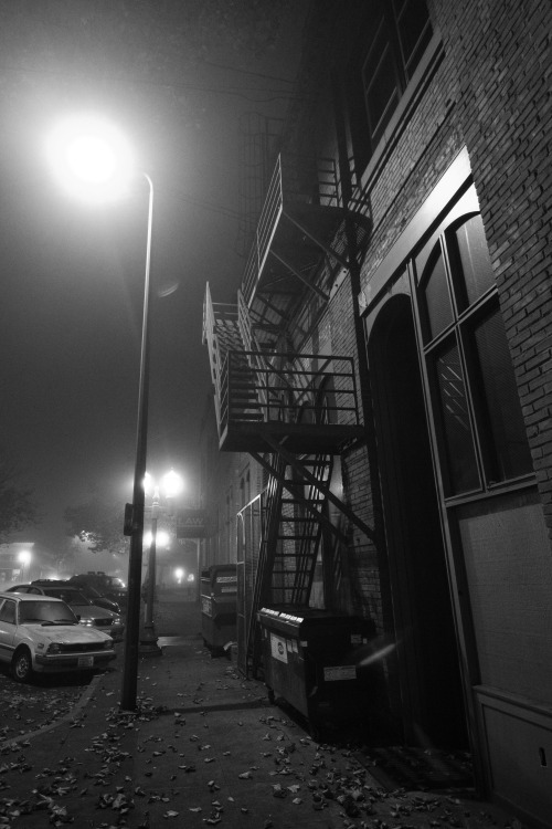 caldert:  Foggy Evening