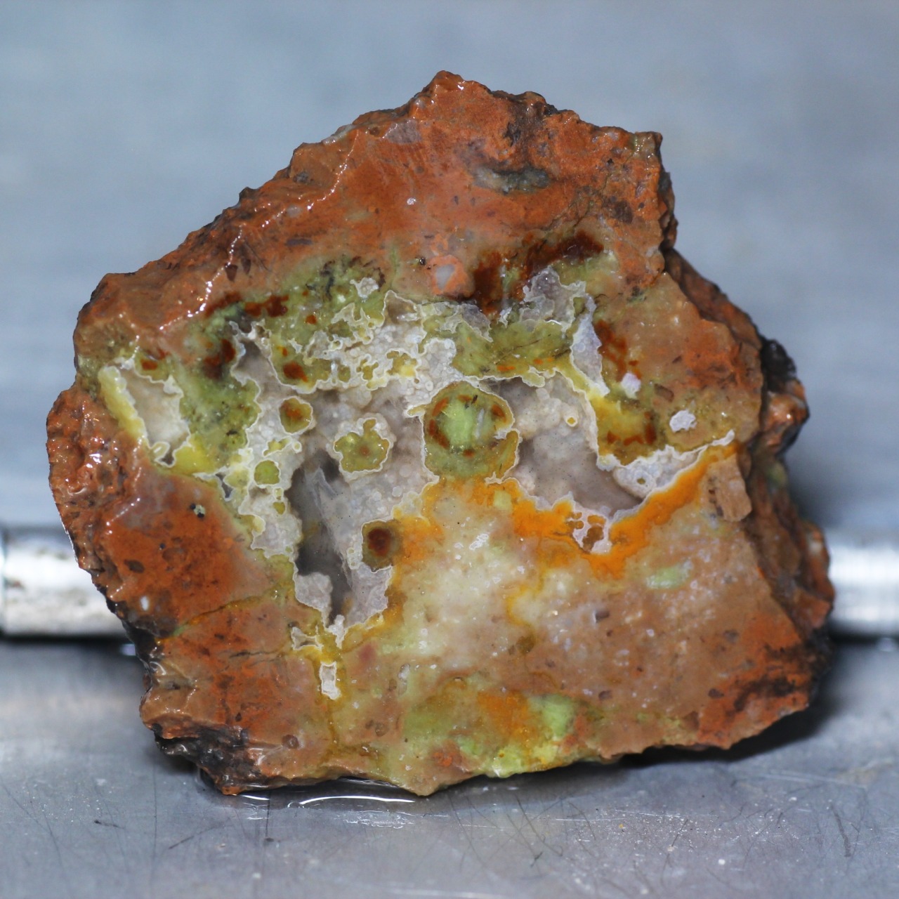 ifuckingloveminerals:  Thunderegg Houselog Creek, Saguache Co., Colorado, USA