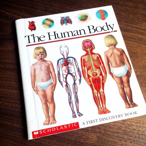 The Human Body A First Discovery Book
