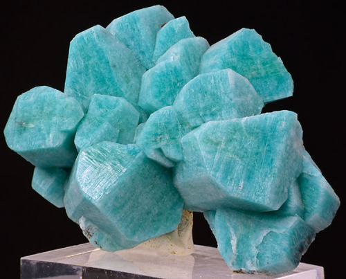 bijoux-et-mineraux:Amazonite - Lucky Monday Pocket, Smoky Hawk Claim, Colorado