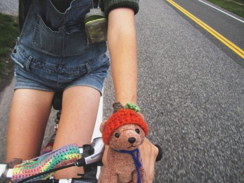 zauberbear: Bike rides.