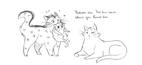 astronautical-polarbear:  Some things are too perfect and Bokuto adopting Hinata is one of those things. 