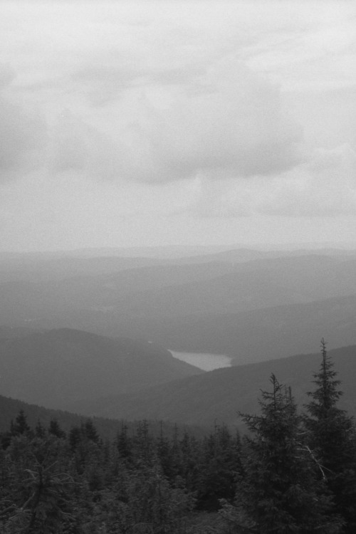 Lysá hora, Czech Republic | July 2021 | Olympus Pen FT on Fomapan 100