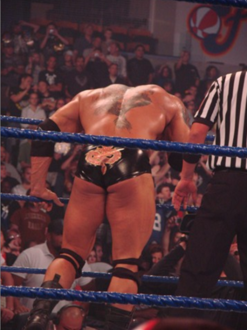 rwfan11:  Batista - cheeks hanging out 