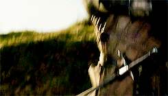 Fuck Yeah Game of Thrones