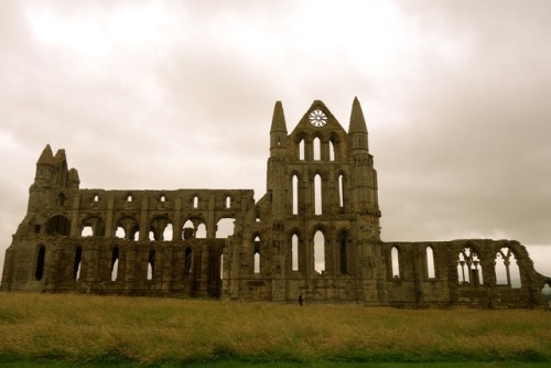 whitby abbey