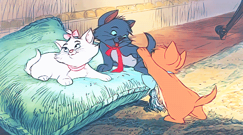 http://christinaowen5.tumblr.com/post/126370953296