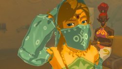 mochitail:I wondered what Link’s entire face looked like when you decline to observe the Gerudo class. His expressions are so much fun in this game!