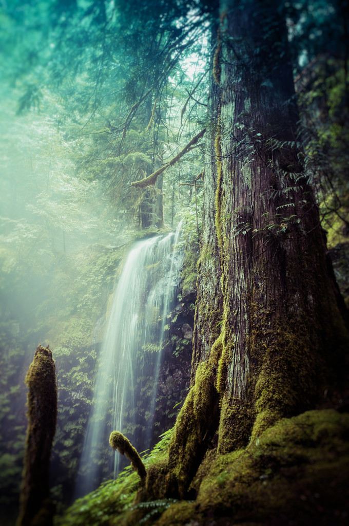 sitoutside:   Panther Creek Falls   by  bestviewedlarge  