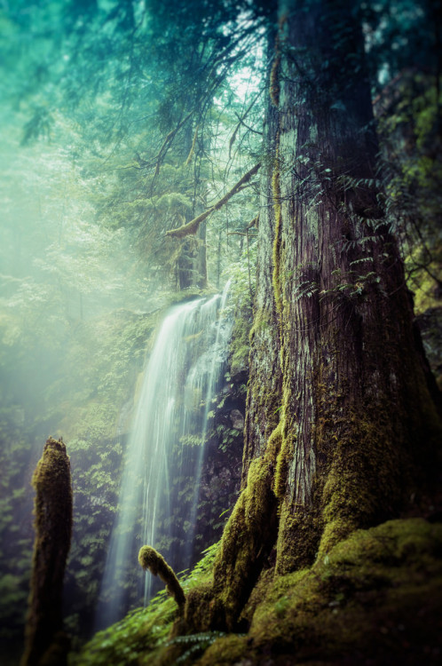 Sex sitoutside:   Panther Creek Falls   by  bestviewedlarge pictures