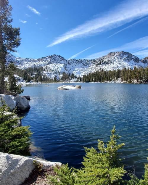 oneshotolive:  Shades of blue, Sierra National