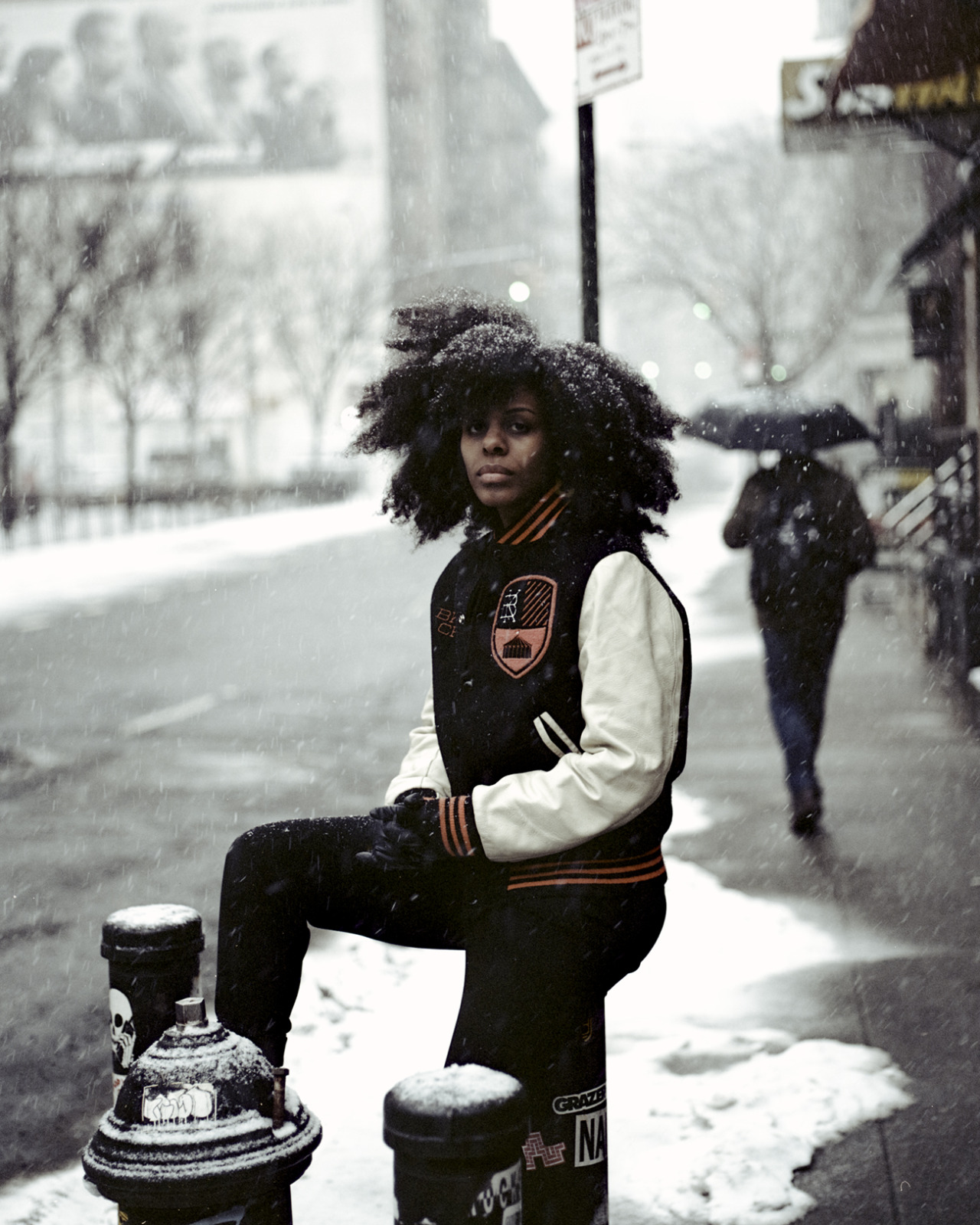 rogwalker:Snow Days.Bee Walker, Broome St.