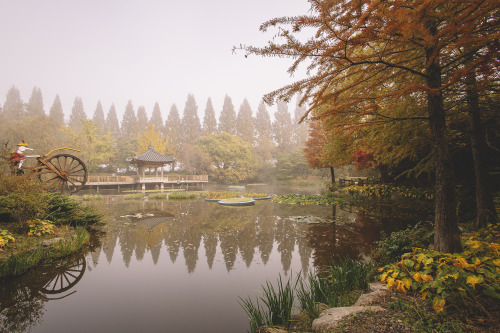 boohwanj:2021-10-31Canon EOS R6 + RF16mm f2.8Instagram  |  hwantastic79vivid