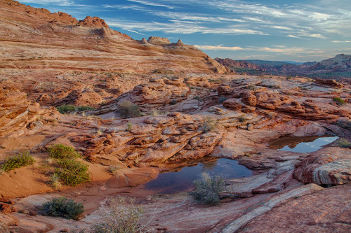 mypubliclands:  Located on the Colorado Plateau in northern Arizona, the Vermilion Cliffs National Monument in Arizona includes the Paria Canyon-Vermilion Cliffs Wilderness. This remote and unspoiled, 280,000-acre Monument - a part of the BLM’s National