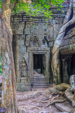 visitheworld:  Angkor / Cambodia (by   Tom Kilroy).