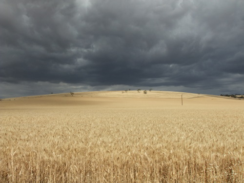 gray clouds