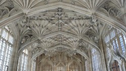 wishes-inthedark:  Ceiling of the chamber where the Harry Potter hospital scenes were filmed at.  Bodleian library, University of Oxford March 2016. 
