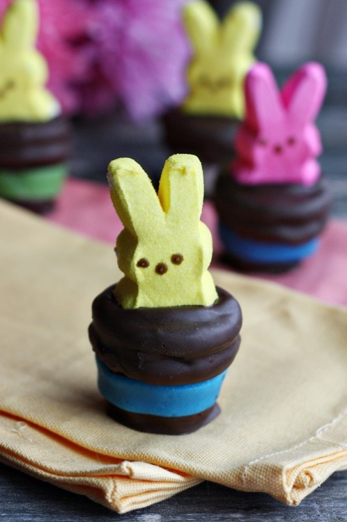 gastrogirl:  peeps magician hat marshmallow bites.