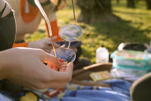 My Friends And I Had A Picnic In The Park Yesterday. Here Are Some Pictures I Took.