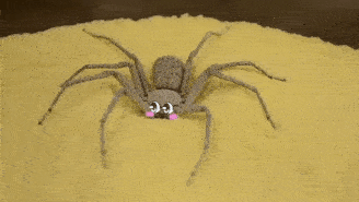 The Memegifs — A cute spider | Gif edits and memes