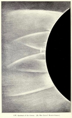 nemfrog:  S.W. quadrant of the corona _The total solar eclipse, 1900_ 1901 