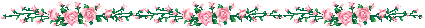 Rose Dividers