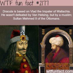 wtf-fun-factss:  Dracula: Vlad the Impaler