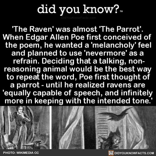 did-you-know:‘The Raven’ was almost ‘The Parrot’. When Edgar Allen Poe first conceived of the poem, 