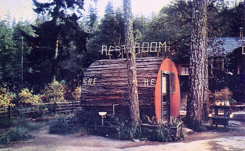 &ldquo;This unique structure is found on the Redwood Highway at Grundy&rsquo;s Redwood Terrace, 22 m