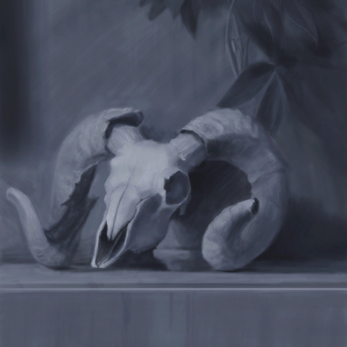 Finally did a still life study for the first time in a looooooong time. It felt great to remember so