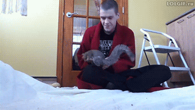 LOL Gifs