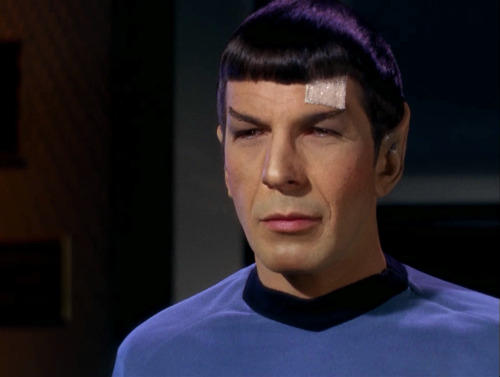 science-officer-spock: okay one more because he looks so cute with that bandage 