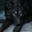 midnightwolfspirit