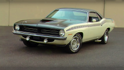 americanmusclepower:  1970 Plymouth Cuda AAR Alpine White