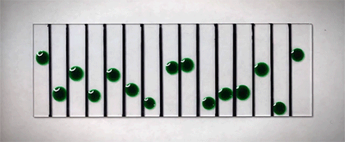 itscolossal:WATCH: Dancing Droplets: Researchers Solve the Strange Puzzle of Attraction Found in Drops of Food Coloring [video]