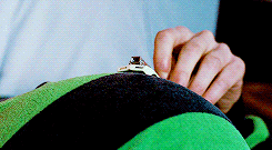 lesliebensgone-blog: Look, in my opinion, the best thing you can do is find a person