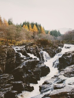 theencompassingworld:  dpcphotography:  Glen Orchy  The World Around Us