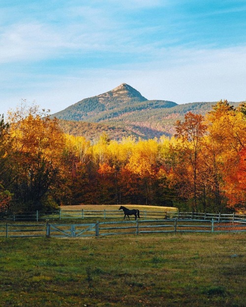 bookofoctober:New Hampshire. Photo by pjhavel