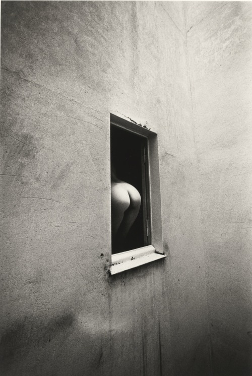 phdonohue: Par un jour pluvieux, Paris, 1975 — Jeanloup Sieff