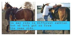 Made this, but they&rsquo;re not my pictures&hellip; Found the quote in one of the Flicka movies ;)