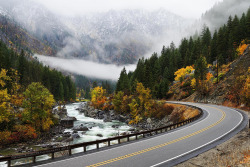brutalgeneration:  Up The Road &amp; Down The River (by Silverder) 