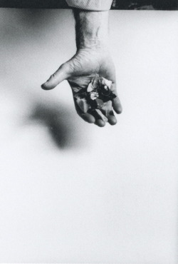 rudygodinez:  Ugo Mulas, The Hand of Lucio