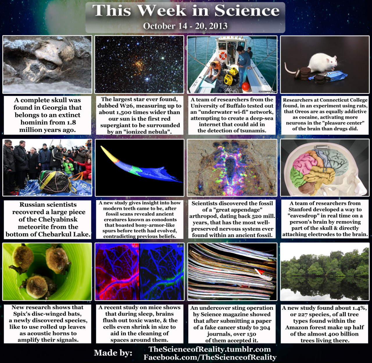 shitfacedanon:  thescienceofreality:  I’ve been swamped getting ready for nanowrimo,