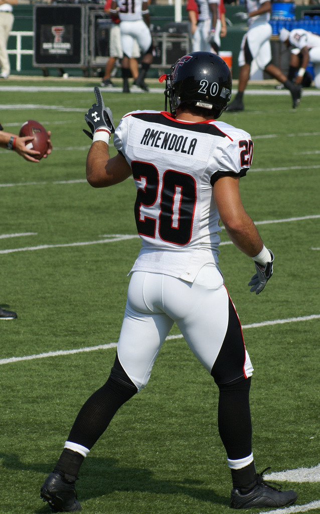 hotfamousmen:    Danny Amendola  