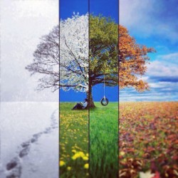 bfresita:  Seasons! 