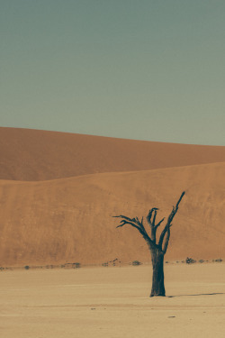 travelingcolors:  Sossusvlei | Namibia (by Ramin Hossaini)