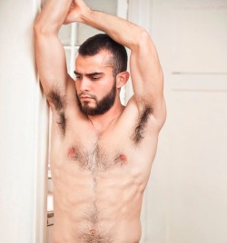 bearpitpig:  #HairyPits #Armpits #Bear #Pits